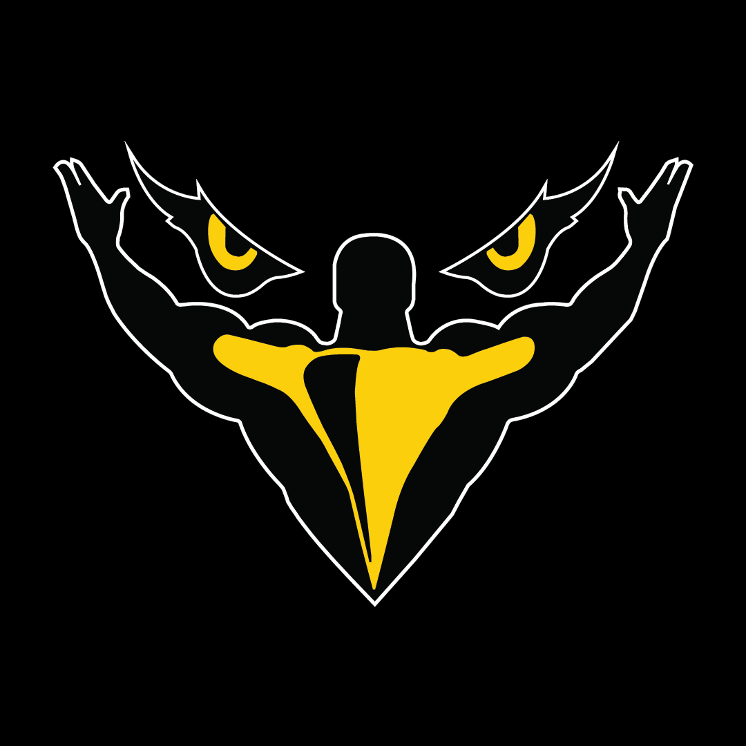 VFit client logo